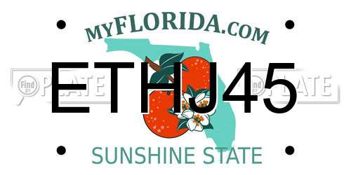 ETHJ45 Florida License Plate