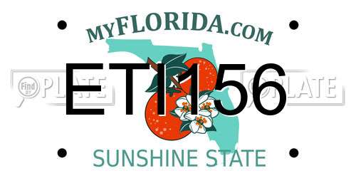 ETI156 Florida License Plate