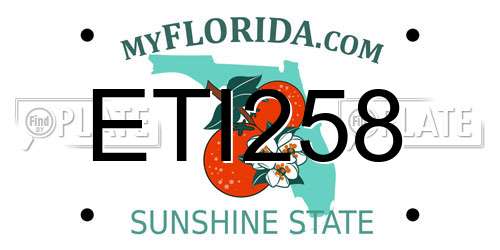 ETI258 Florida License Plate