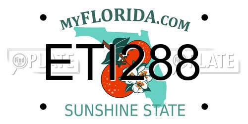 ETI288 Florida License Plate