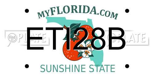 ETI28B Florida License Plate
