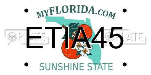 ETIA45 Florida License Plate
