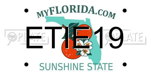 ETIE19 Florida License Plate