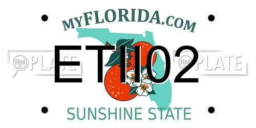 ETII02 Florida License Plate