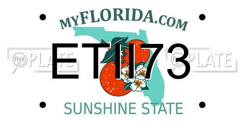 ETII73 Florida License Plate