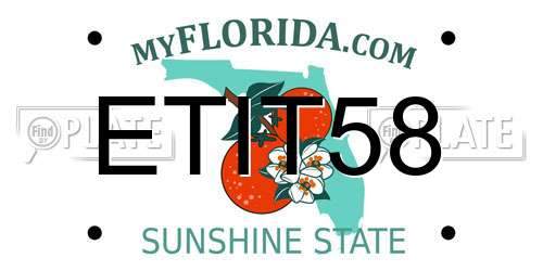 ETIT58 Florida License Plate