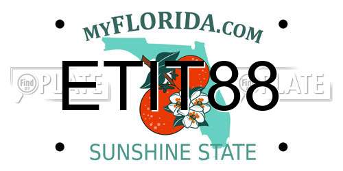 ETIT88 Florida License Plate