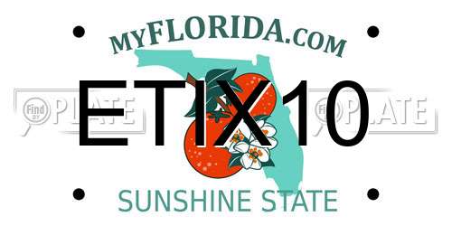 ETIX10 Florida License Plate