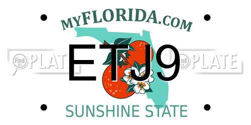 ETJ9 Florida License Plate