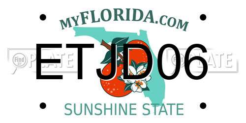 ETJD06 Florida License Plate