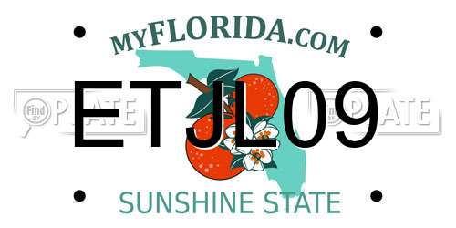 ETJL09 Florida License Plate