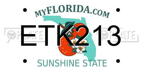 ETK213 Florida License Plate