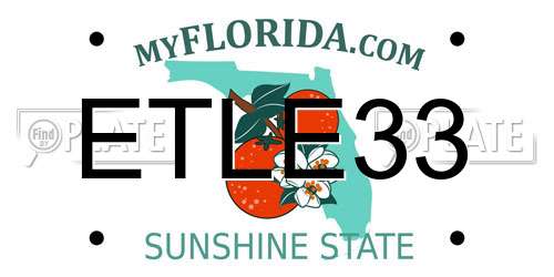 ETLE33 Florida License Plate