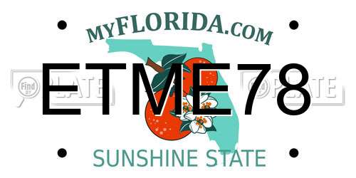 ETME78 Florida License Plate