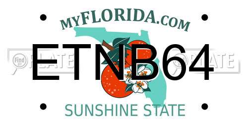 ETNB64 Florida License Plate