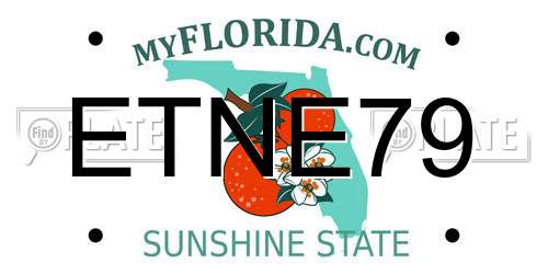 ETNE79 Florida License Plate