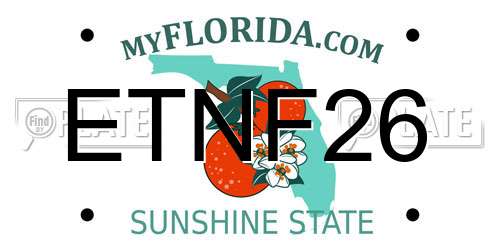 ETNF26 Florida License Plate