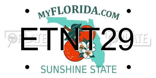 ETNT29 Florida License Plate