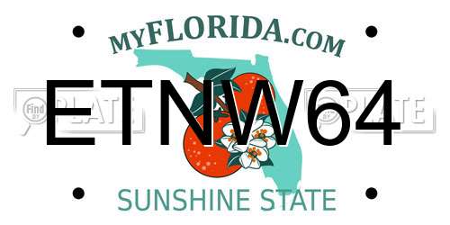 ETNW64 Florida License Plate
