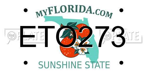ETO273 Florida License Plate