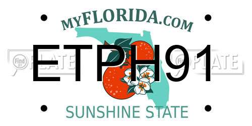 ETPH91 Florida License Plate