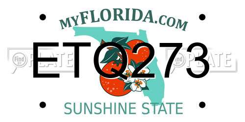 ETQ273 Florida License Plate