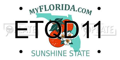 ETQD11 Florida License Plate