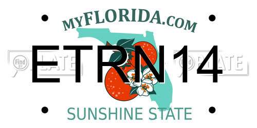 ETRN14 Florida License Plate