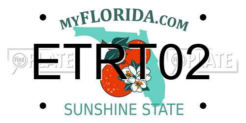 ETRT02 Florida License Plate