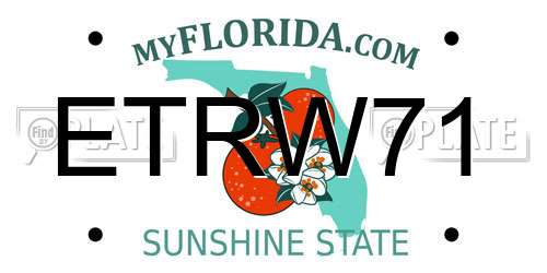 ETRW71 Florida License Plate