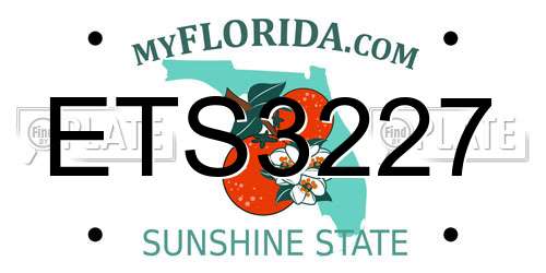 ETS3227 Florida License Plate