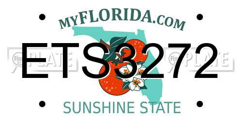 ETS3272 Florida License Plate