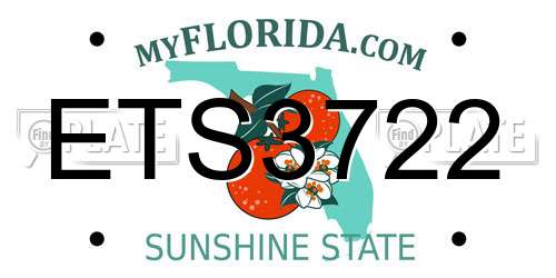 ETS3722 Florida License Plate
