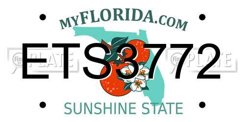 ETS3772 Florida License Plate