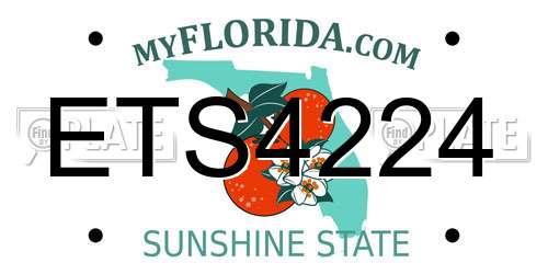 ETS4224 Florida License Plate