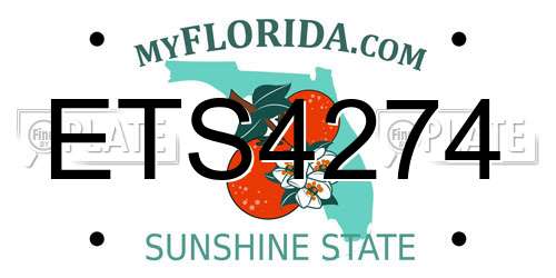 ETS4274 Florida License Plate