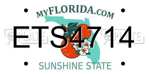 ETS4714 Florida License Plate