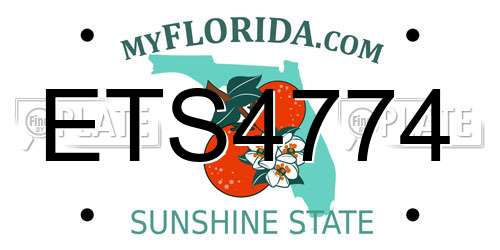 ETS4774 Florida License Plate