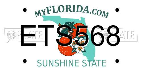 ETS568 Florida License Plate