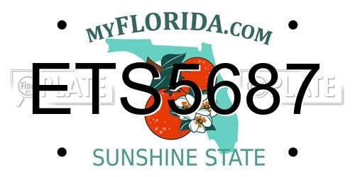 ETS5687 Florida License Plate