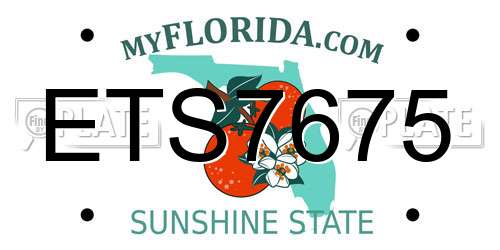 ETS7675 Florida License Plate