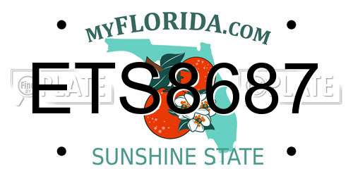 ETS8687 Florida License Plate