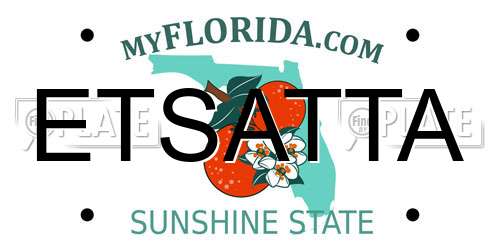 ETSATTA Florida License Plate