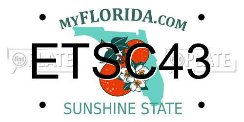 ETSC43 Florida License Plate