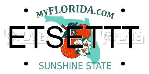 ETSETTT Florida License Plate