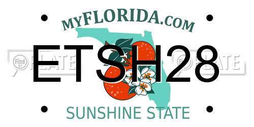 ETSH28 Florida License Plate