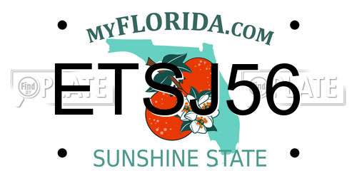 ETSJ56 Florida License Plate
