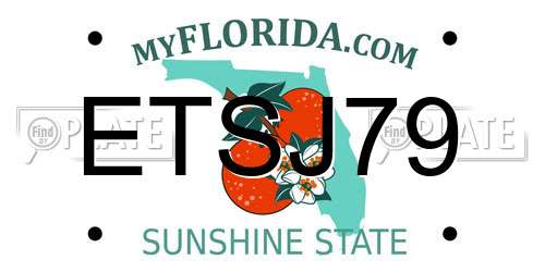 ETSJ79 Florida License Plate