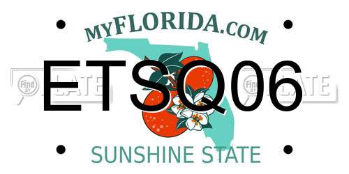 ETSQ06 Florida License Plate