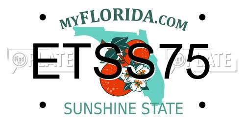 ETSS75 Florida License Plate